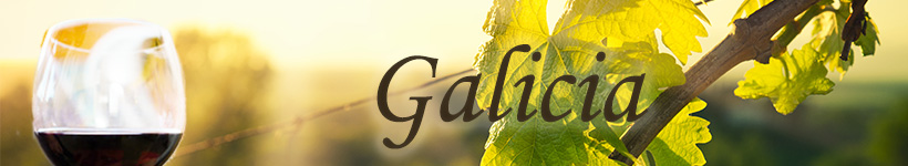 Jahrgangswein aus Galicia