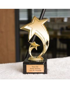 De persoonlijke Star Award met gravure
